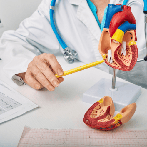 Cardiology
