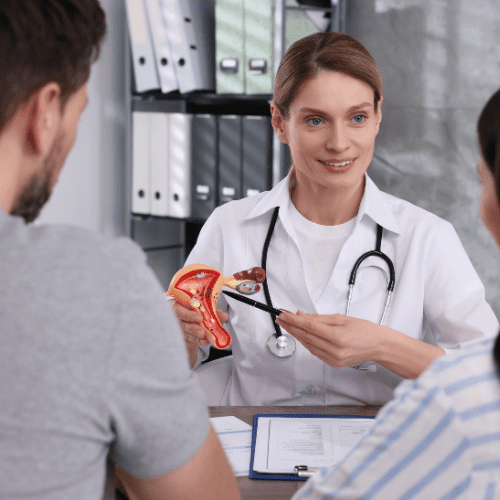 Fertility and IVF