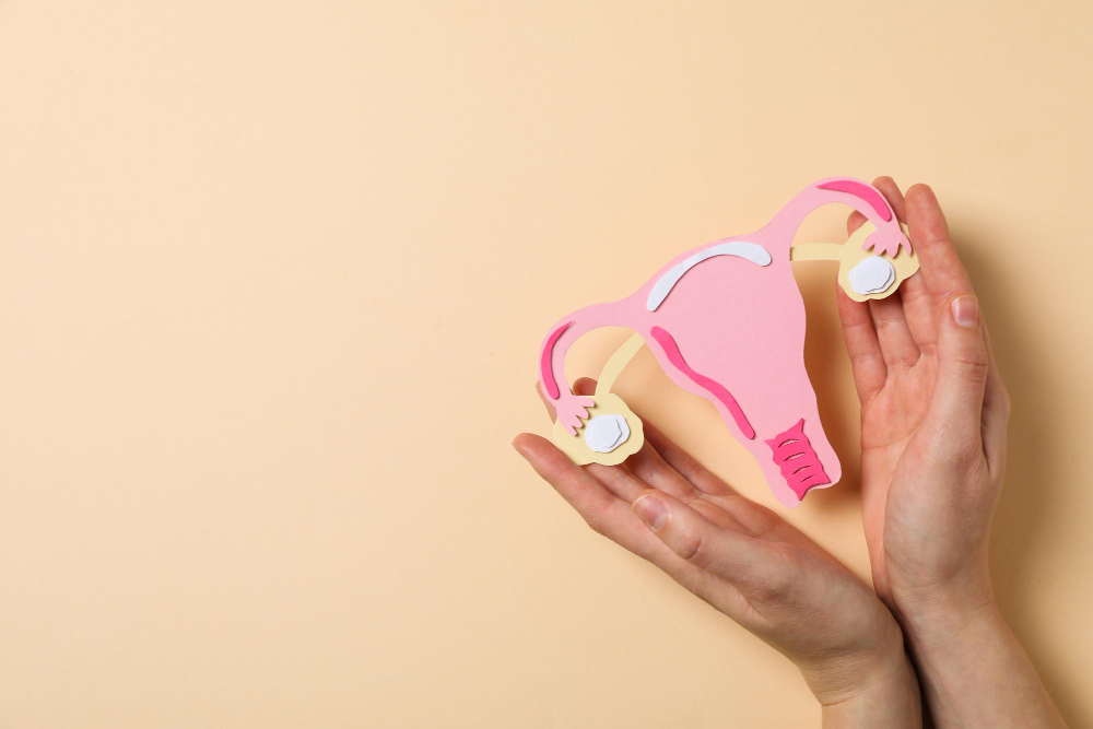 Read more about the article Understanding PCOS: Symptoms, Causes, Diagnosis, and Treatment
